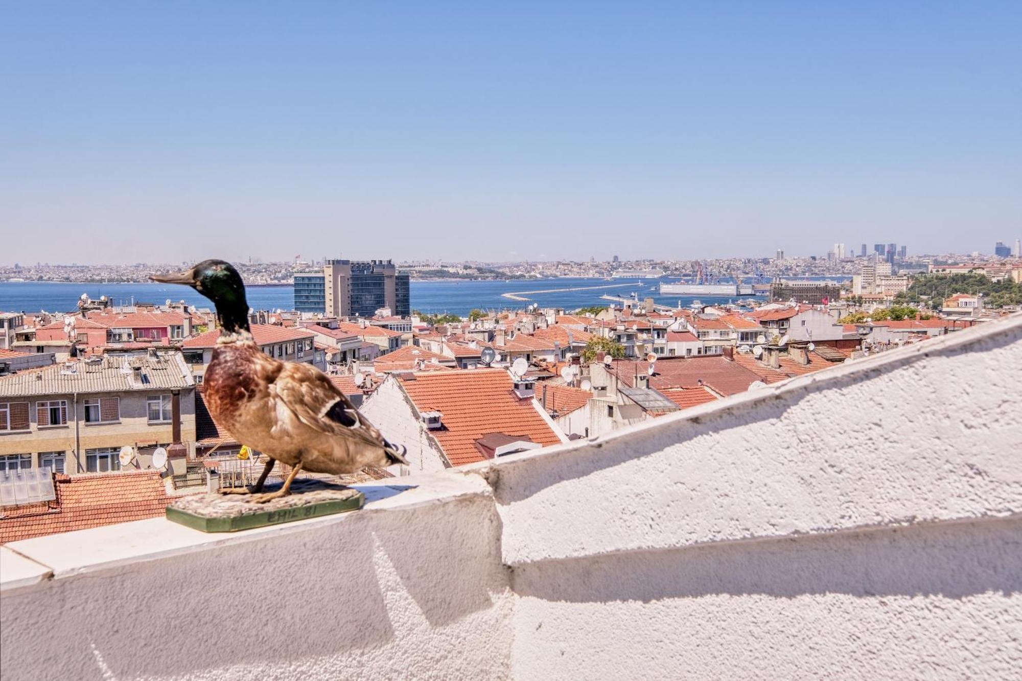 Duck Otel Istanbul Exterior photo